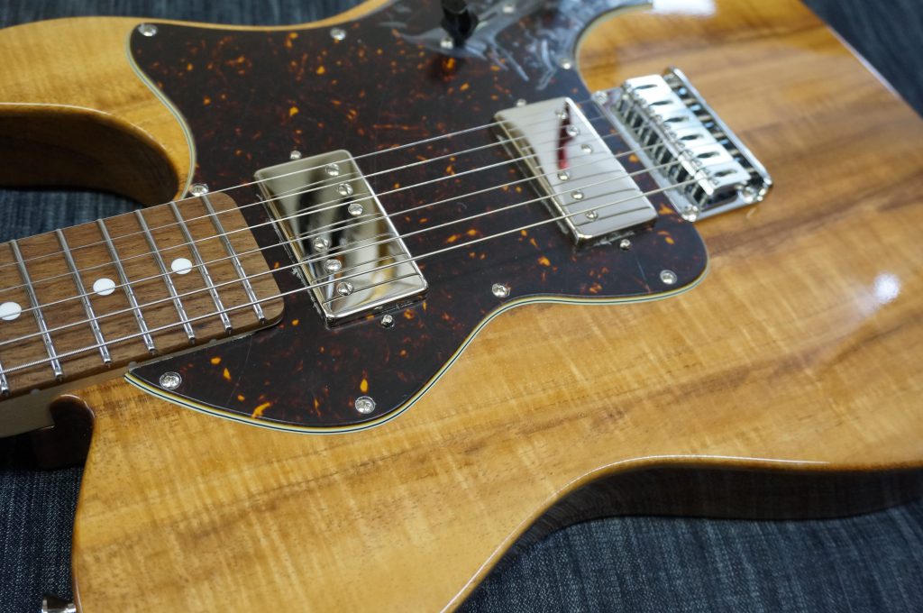 DSC01621 e1514477908749