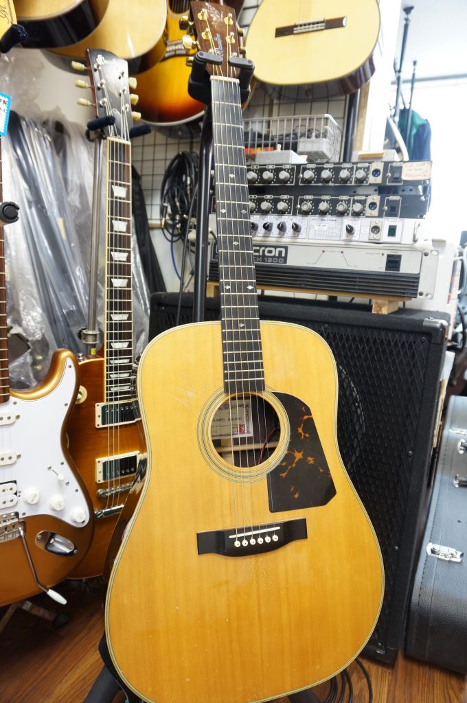 DSC01884 e1523460743816