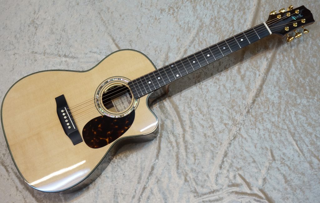 DSC02456 e1560938315681