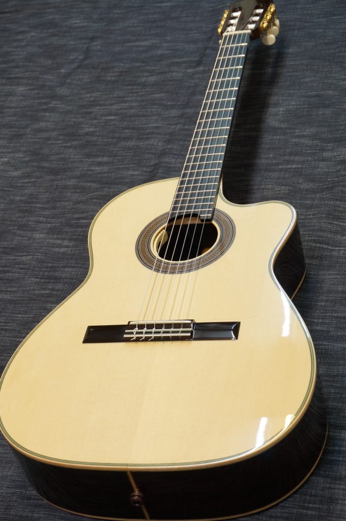 DSC02667 1 e1579705883729